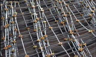 柔性主动防护网厂家 柔性主动防护网厂家